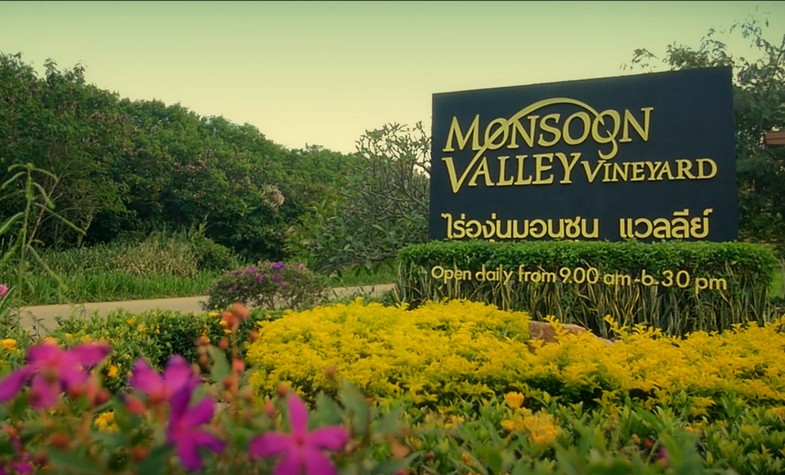 Hua Hin Monsoon Valley Vineyard