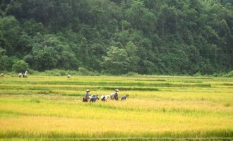 Dien Bien Phu landscape