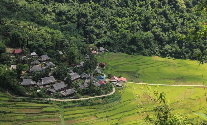 Pu Luong rice terrace fields