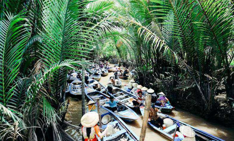 Cruise Along the Mekong Delta