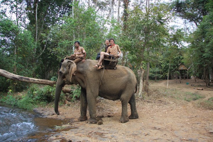 elephant riding is now not recommended
