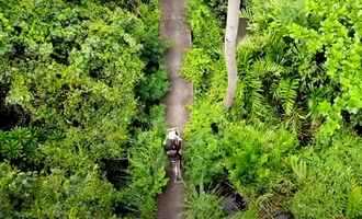 Bang Krachan cycling, Bangkok, Thailand travel
