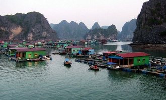Cat ba, Vietnam