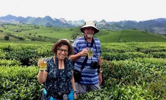 moc chau tea plantation, son le, vietnam
