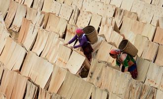 Paper wood drying, Lai chau, Vietnam