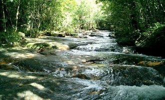 Jungle trek in Phu Quoc - Vietnam tour
