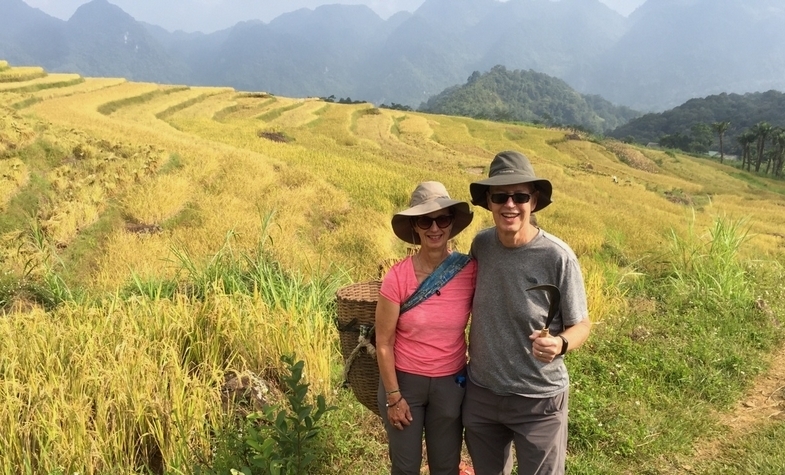 tourists visit golden paddy field in Ha Giang Vietnam