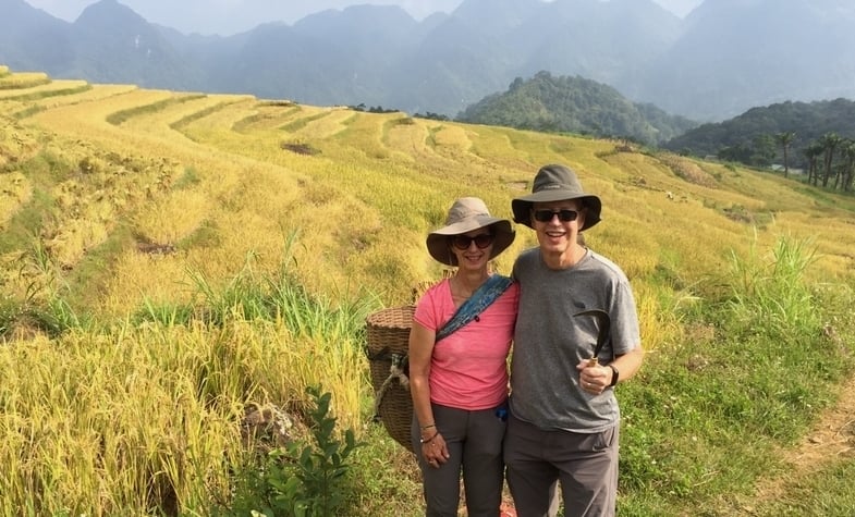 tourists visit golden paddy field in Ha Giang Vietnam