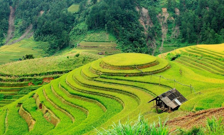 Discover the beauty of 10 Vietnam