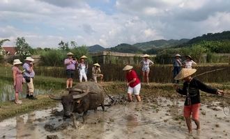 Luang Prabang farming, Laos tour & travel