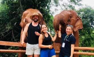 Elephant camp, Chiang Mai, Thailand