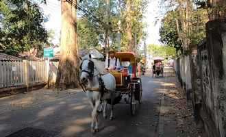 Horse down carriage, Lampang, Thaialnd