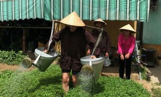 family travel, vietnam