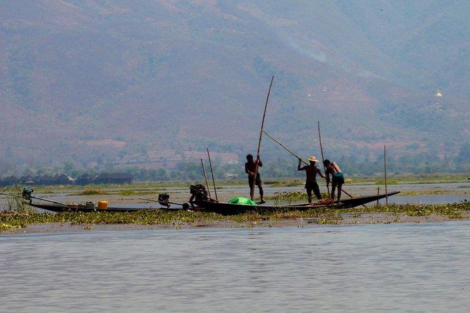 catching fish on Inle Lake