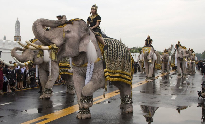 Myanmar captivates another white elephant - India Today