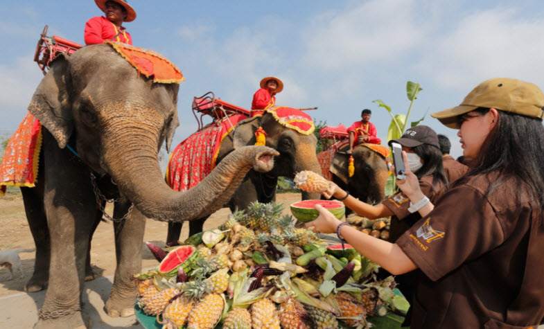 National Elephant Day in  Thailand