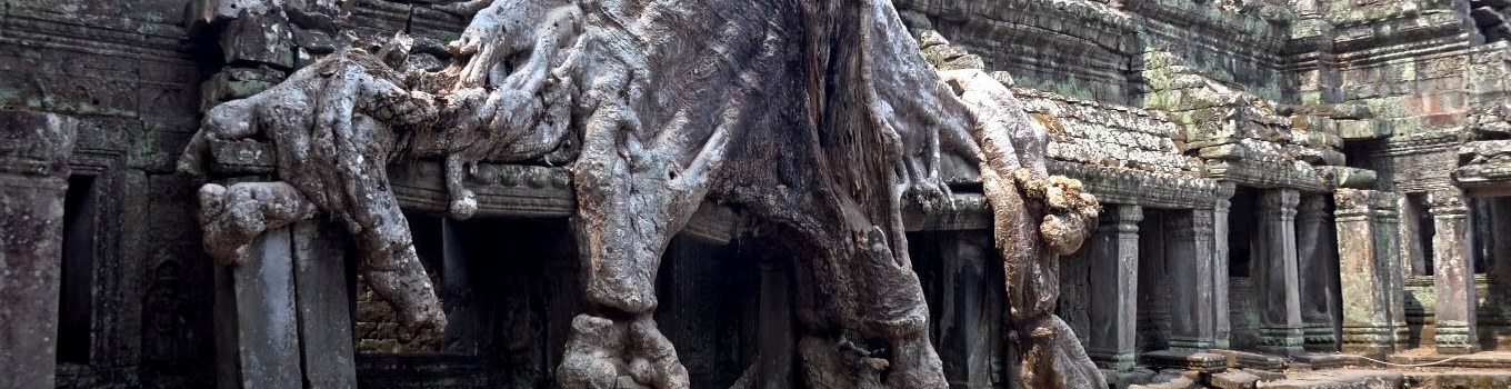 Tah Prohm temple, Angkor, Cambodia