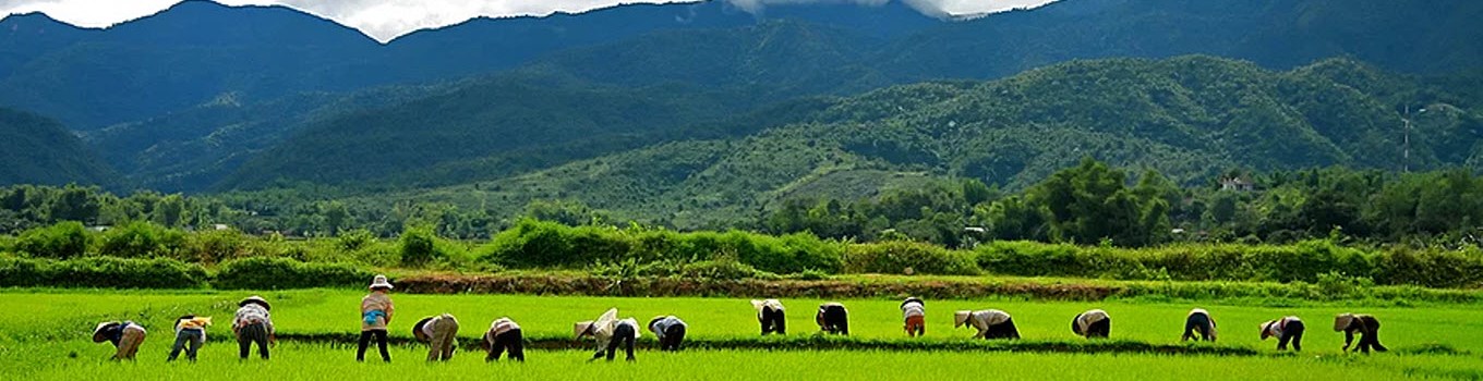 Dien Bien Phu Valley-a Recall - 3 days