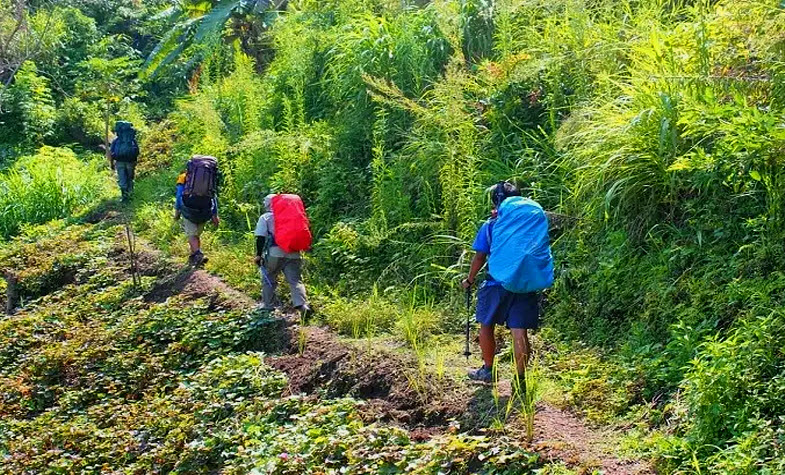 Trekking Cat Tien National Park in Dong Nai, Vietnam