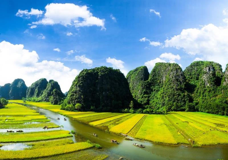 mountains and paddy fields surround in Trang An, Ninh Binh