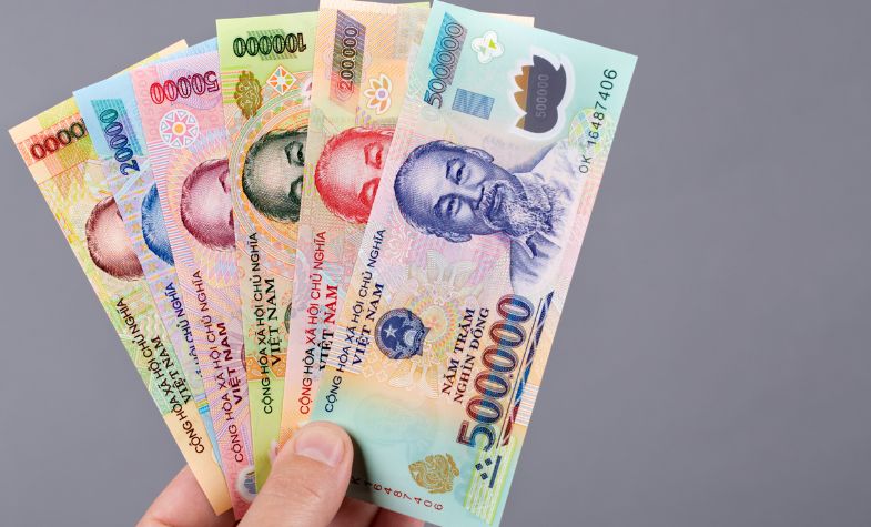 What does Vietnamese money look like?