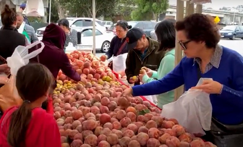 The Alemany Farmer Market