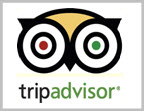 tripsadviser icon