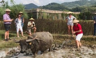 vietnam cambodia laos itinerary, road trip vietnam laos cambodia, vietnam cambodia and laos tours, Indochina tours, Vietnam Cambodia Laos tours, Southeast Asia tours