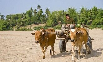 kratie, cambodia