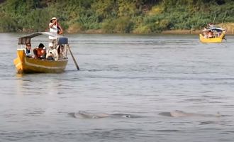 kratie, cambodia