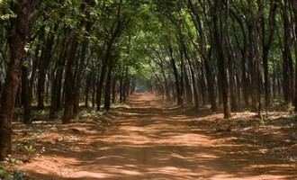 ratanakiri, cambodia