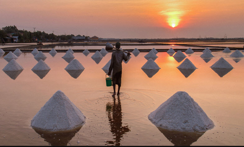 Visit salt field, top things to do in Kampot