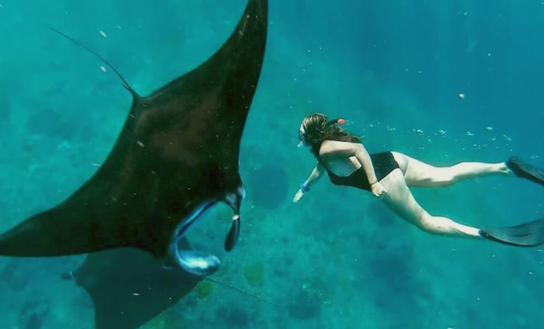 Relax and discover the wonders of Bali over 5 unforgettable days