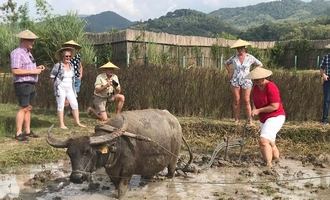 family travel, laos