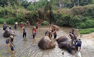 luang prabang, laos