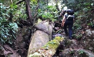 luang nam tha trekking, laos