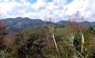 luang nam tha, laos