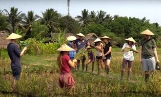 luang prabang, laos