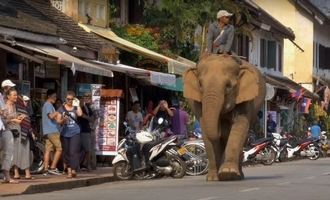 luang prabang, laos