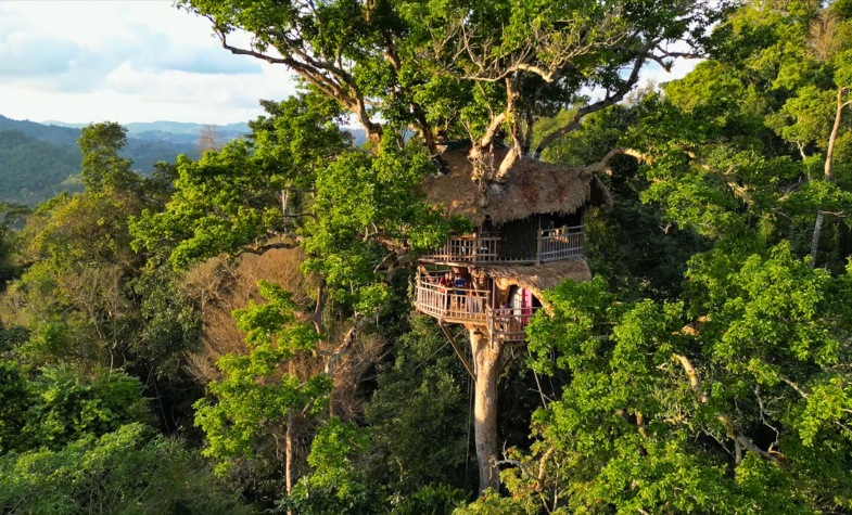 Forests and wildlife of Bokeo Nature Reserve