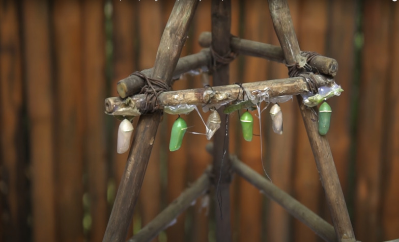 How to get to Kuang Si Butterfly Park