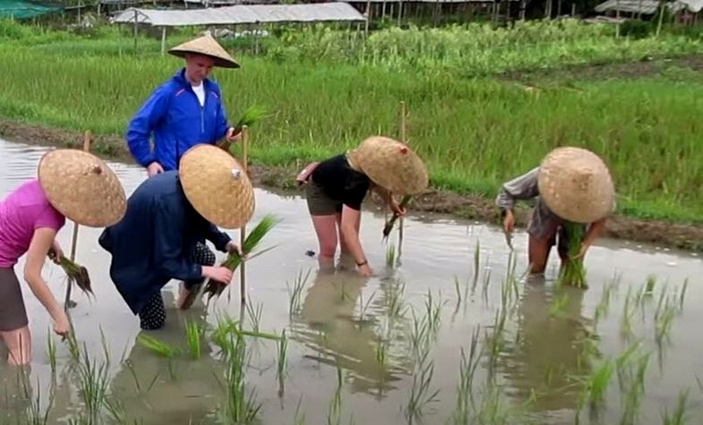 Farming activity at The Living Land Farm