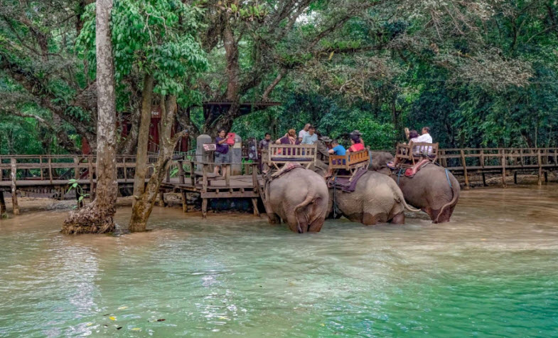 Tad Sae waterfall Luang  Prabang