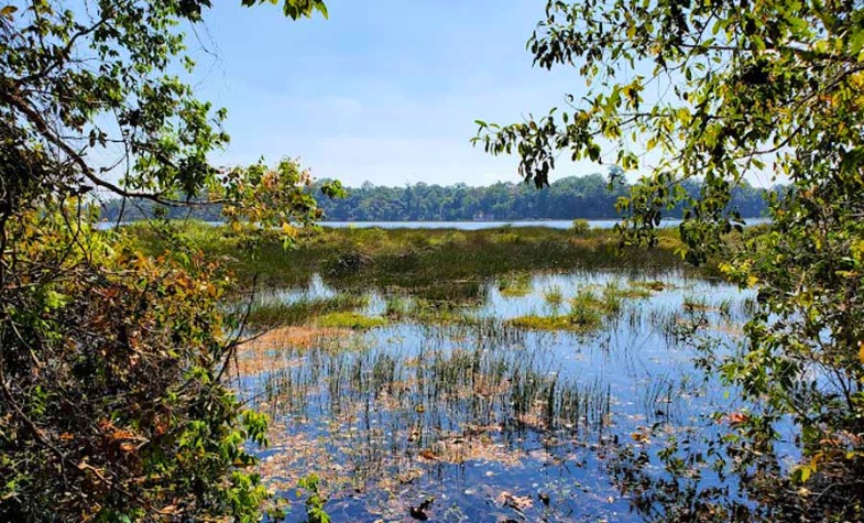 Forests and lake in Dong Natad Protected Area