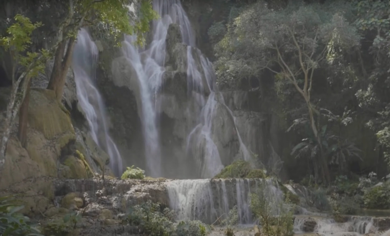 Explore Dong Natad National Protected Area