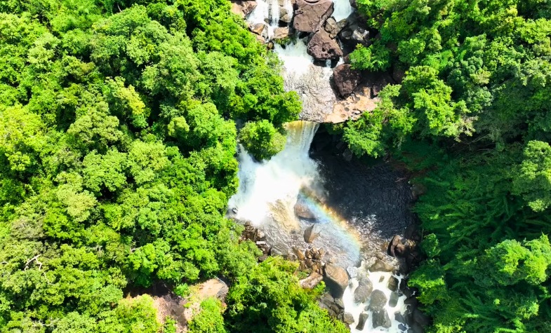 Top 5 Best National Parks You Should Go in Laos