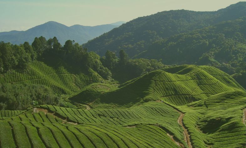 Understanding Malaysia's June weather