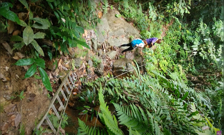 Exploring Endau-Rompin National Park