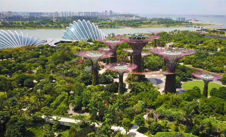 Gardens by the Bay with Supertrees and domes.