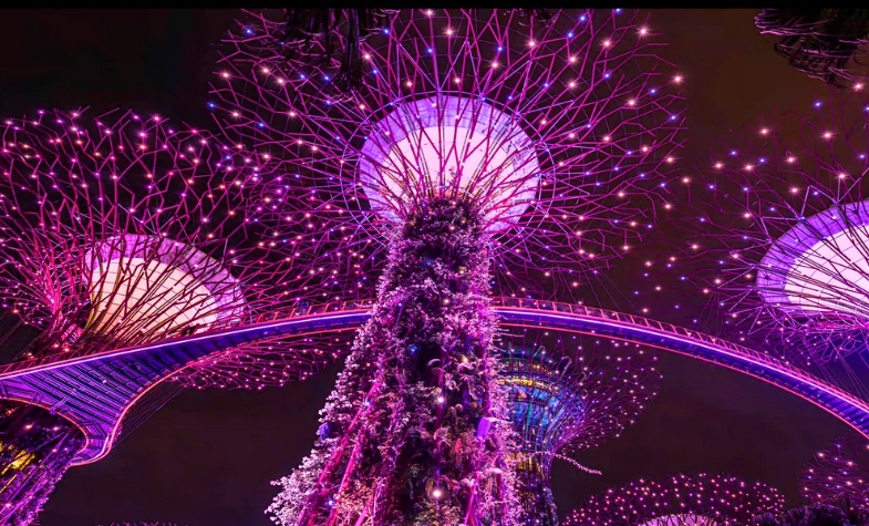 Explore Gardens by the Bay: Supertree Grove, Flower Dome, Cloud Forest, OCBC Skyway.